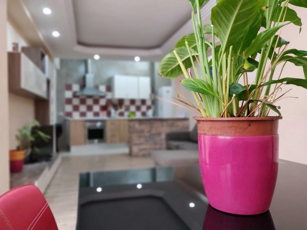 Cactus Los Cristianos Villa Los Cristianos  Eksteriør billede