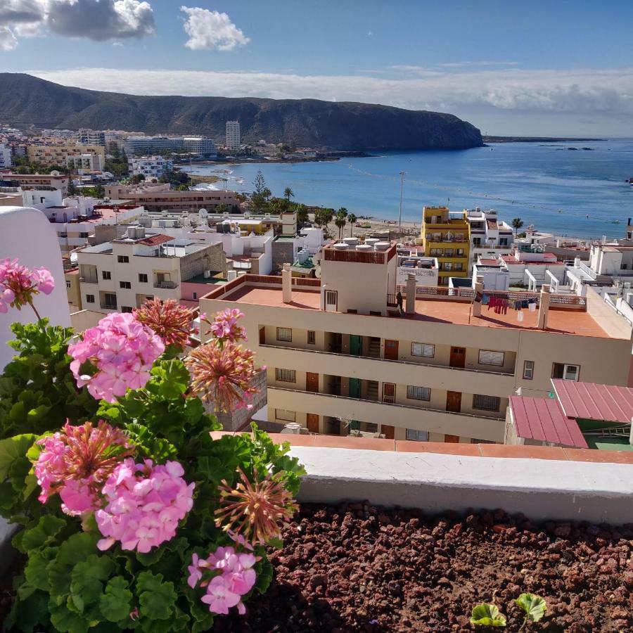 Cactus Los Cristianos Villa Los Cristianos  Eksteriør billede